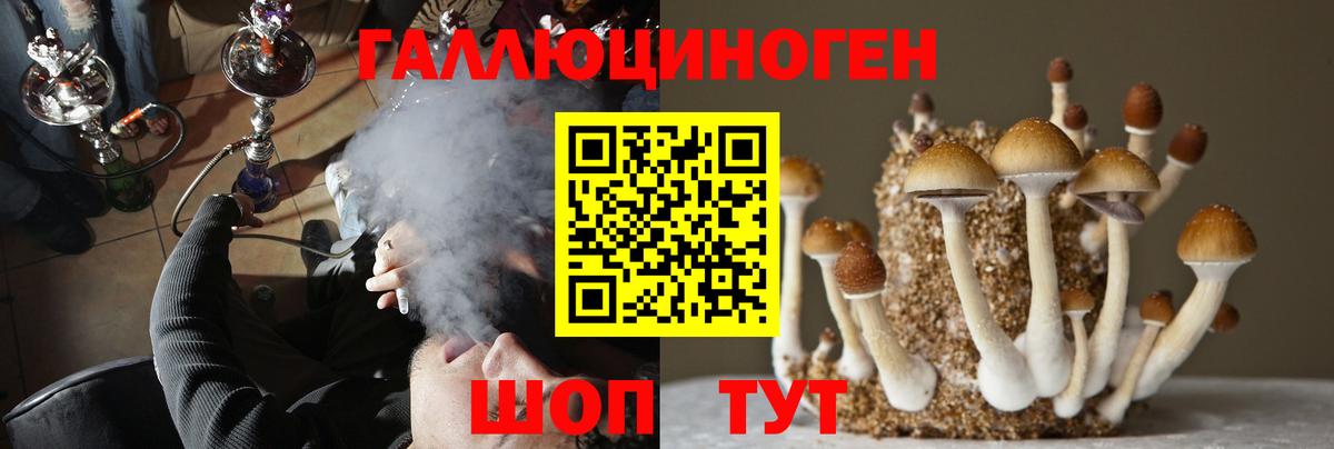 Псилоцибиновые грибы ЛСД  даркнет сайт  Вход с VPN  Красный Сулин  Псилоцибиновые грибы ЛСД 